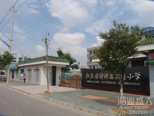 射阳小学 6399彩世界